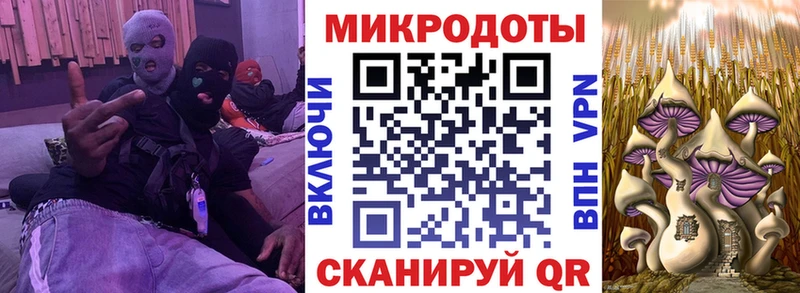 Псилоцибиновые грибы GOLDEN TEACHER Сельцо